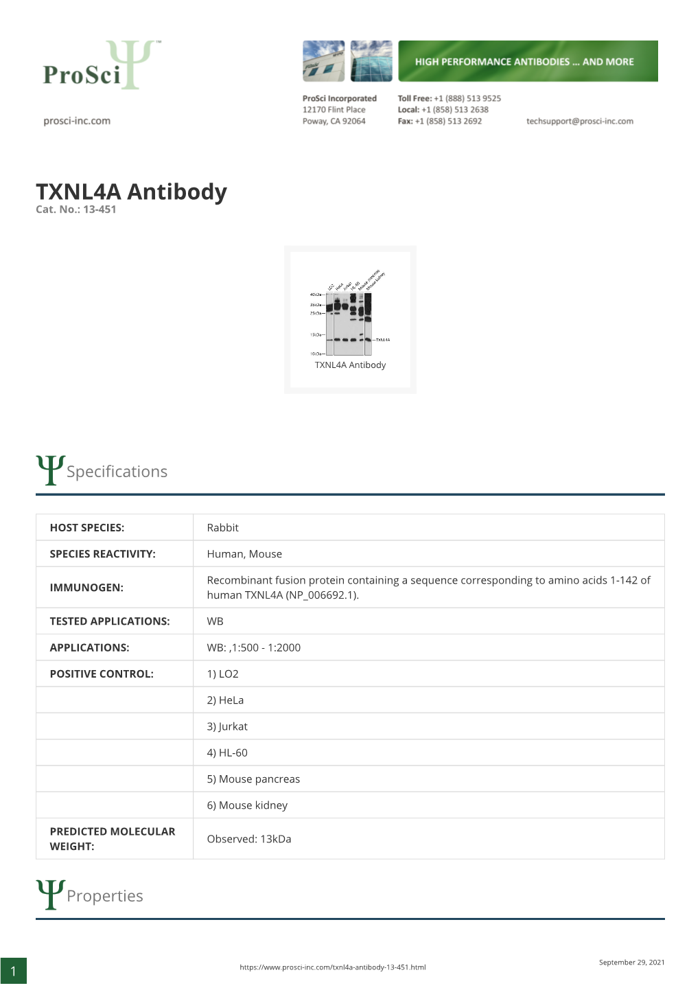 TXNL4A Antibody Cat