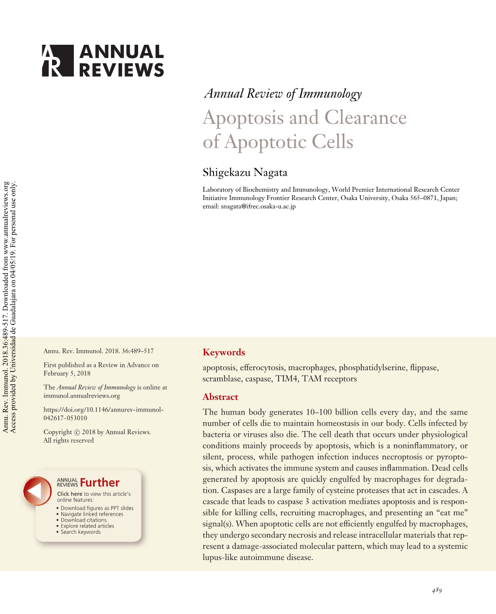 Apoptosis and Clearance of Apoptotic Cells