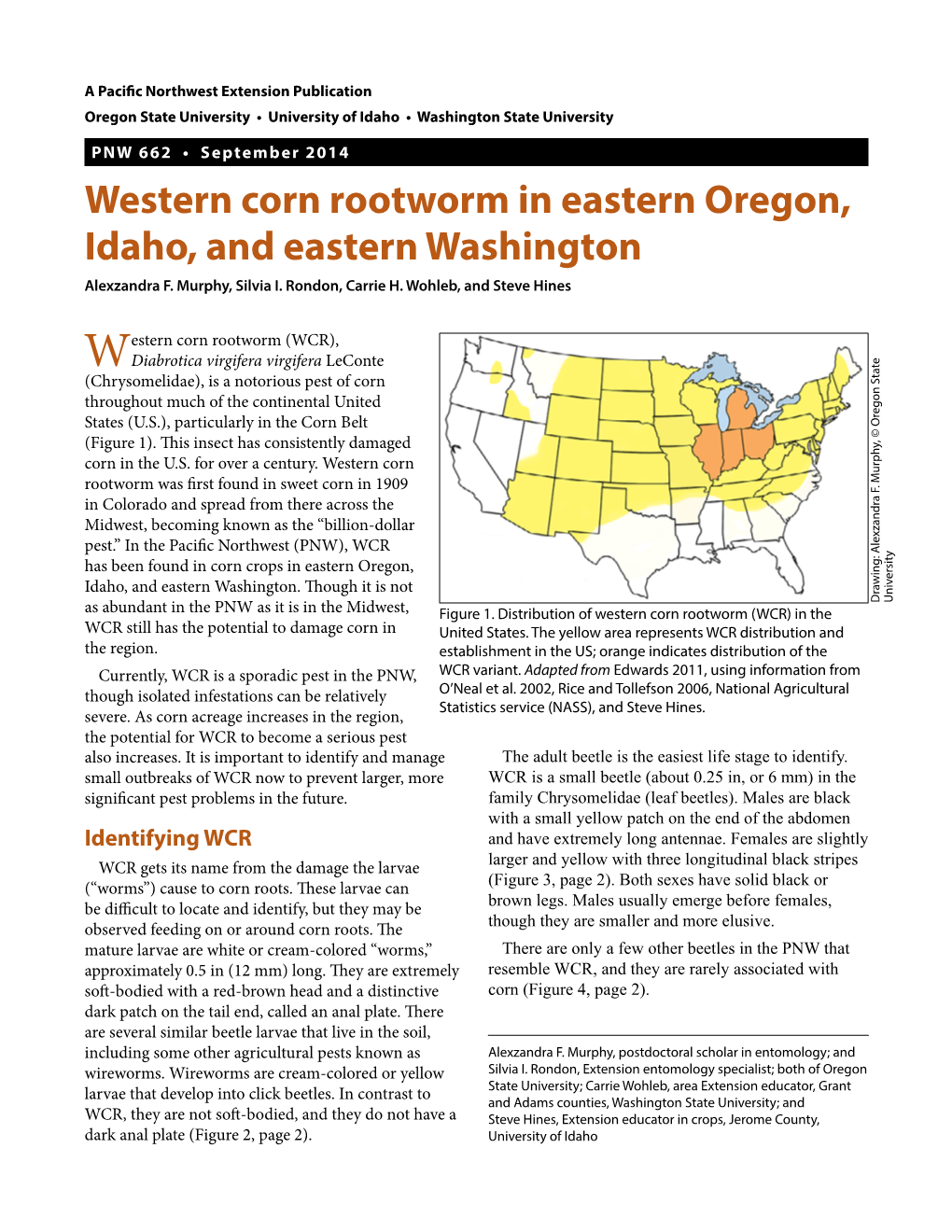 Western Corn Rootworm in Eastern Oregon, Idaho, and Eastern Washington Alexzandra F