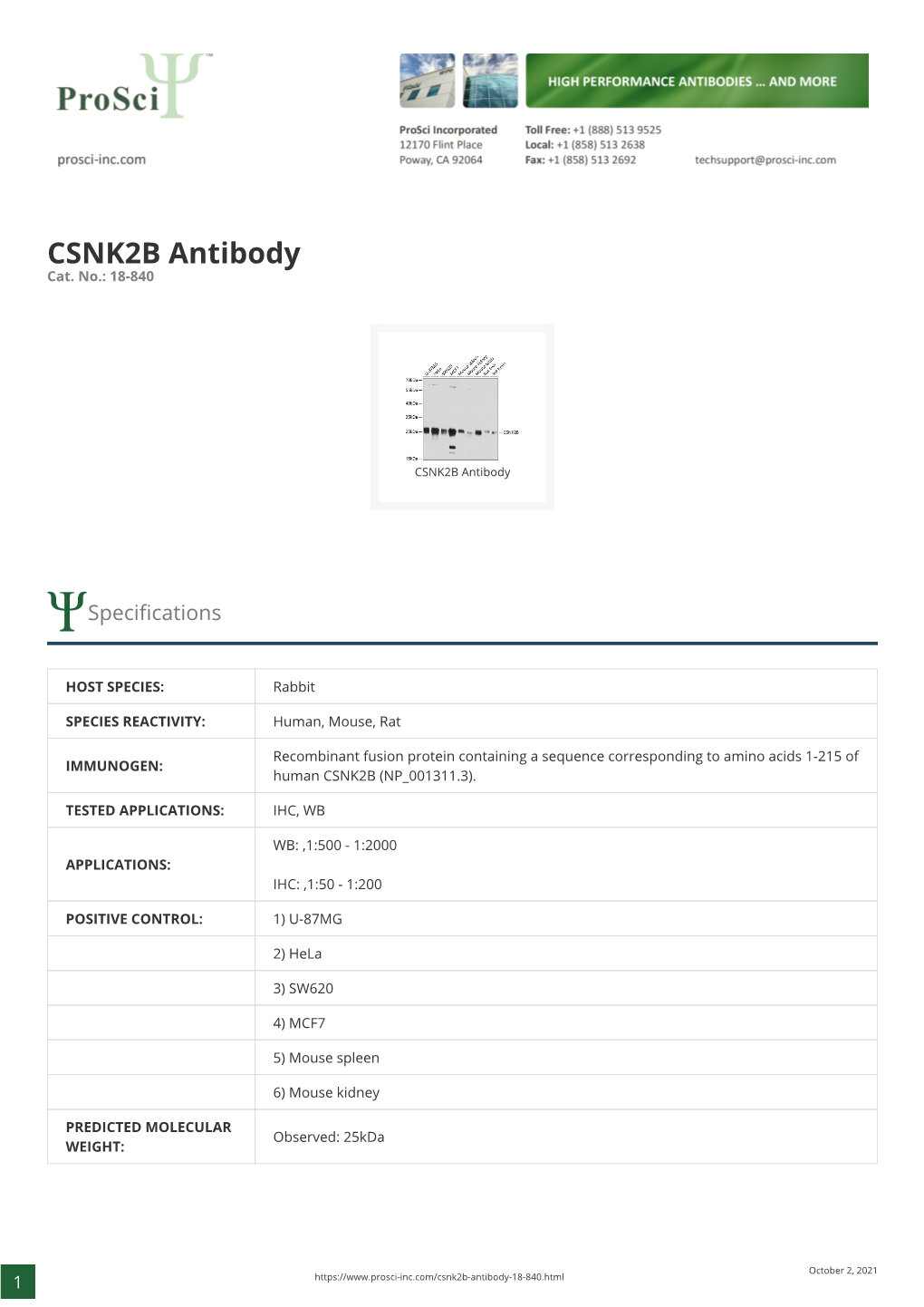 CSNK2B Antibody Cat