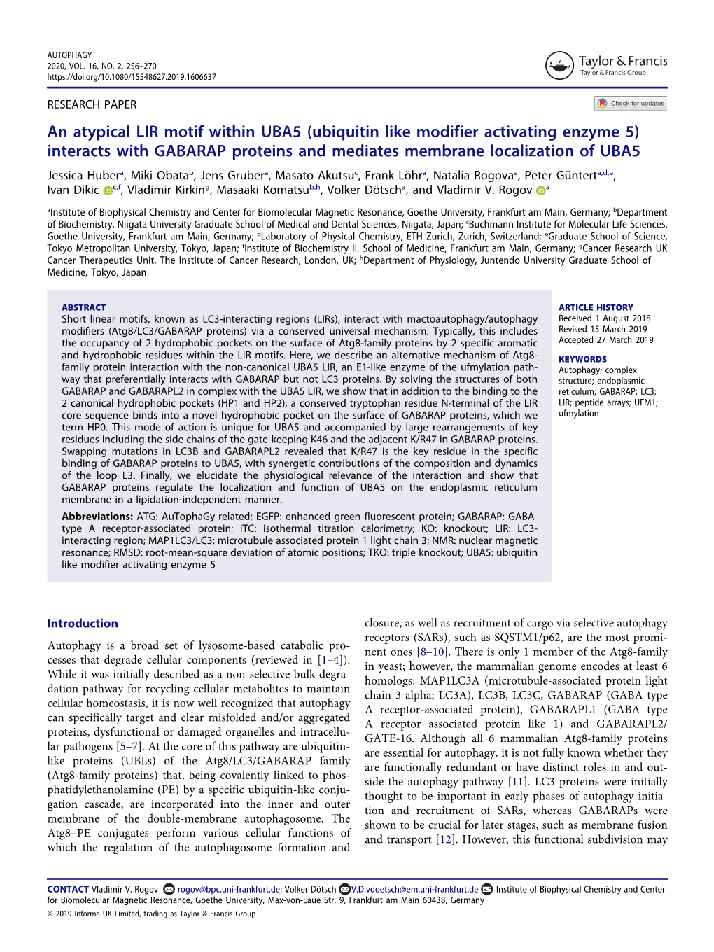 An Atypical LIR Motif Within UBA5 (Ubiquitin Like Modifier Activating Enzyme 5) Interacts with GABARAP Proteins and Mediates