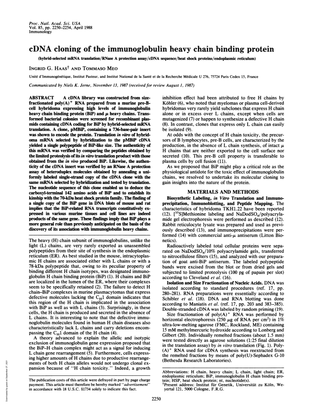 Cdna Cloning of the Immunoglobulin Heavy Chain Binding Protein