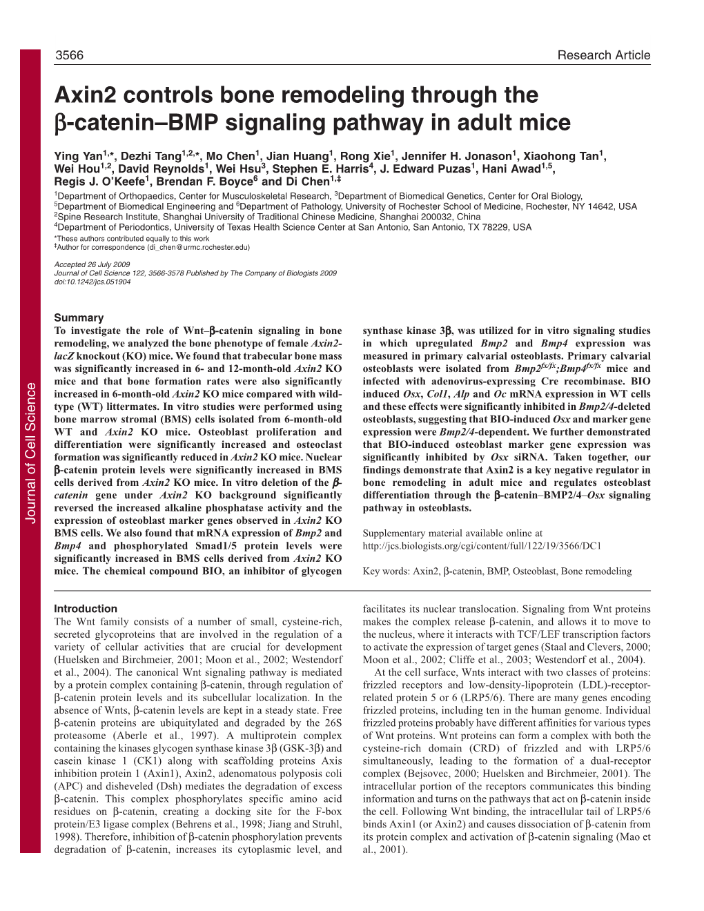 Axin2 Controls Bone Remodeling Through the Β-Catenin–BMP Signaling Pathway in Adult Mice