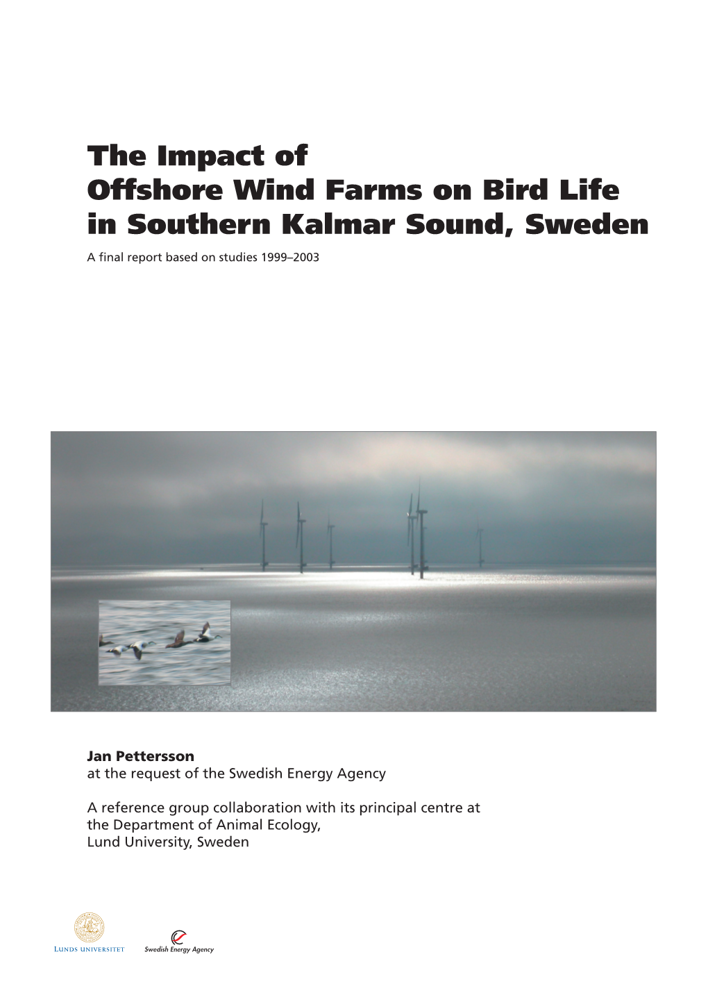 The Impact of Offshore Wind Farms on Bird Life in Southern Kalmar Sound, Sweden a ﬁ Nal Report Based on Studies 1999–2003