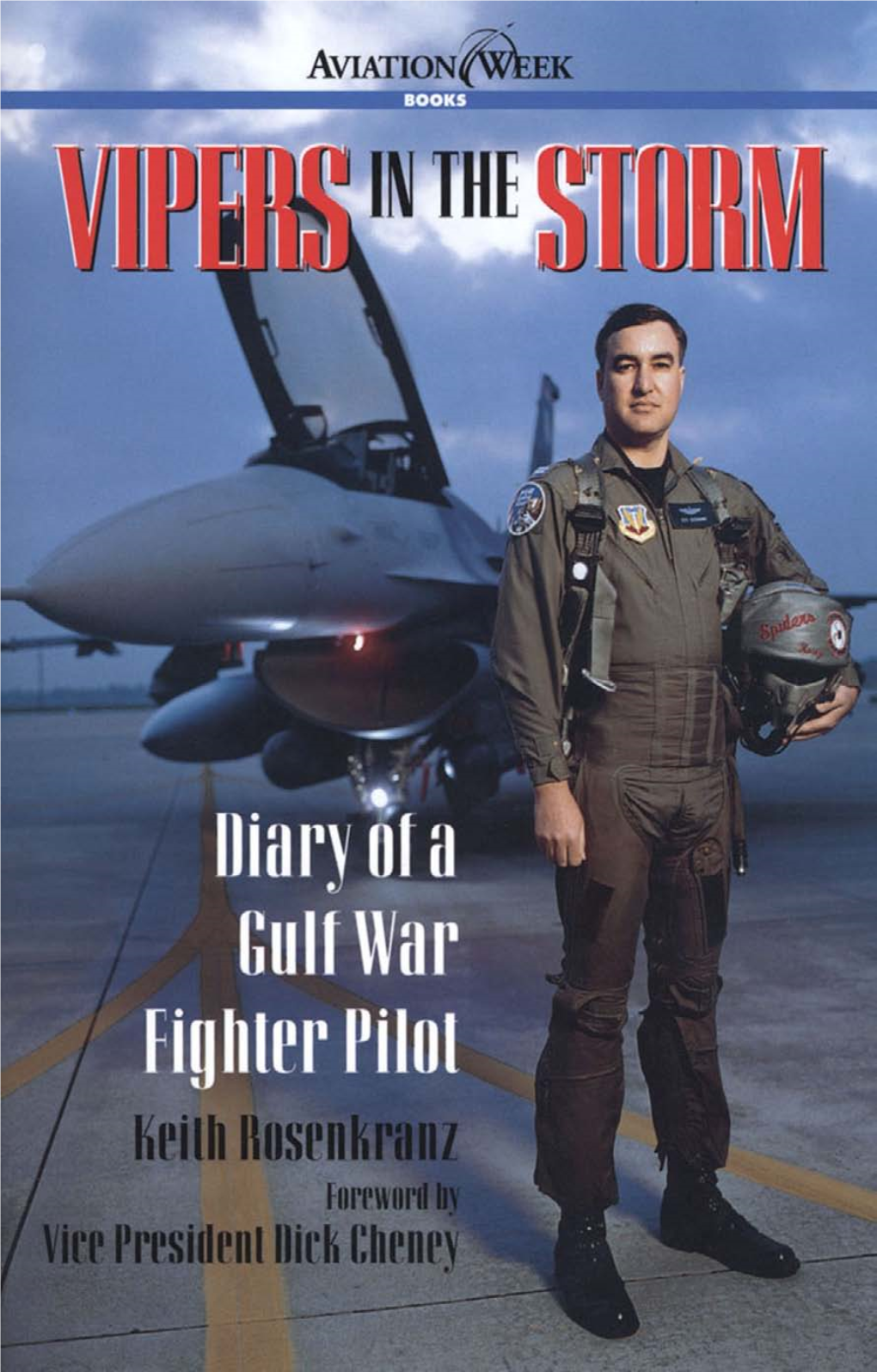 Vipers in the Storm: Diary of a Gulf War Fighter Pilot