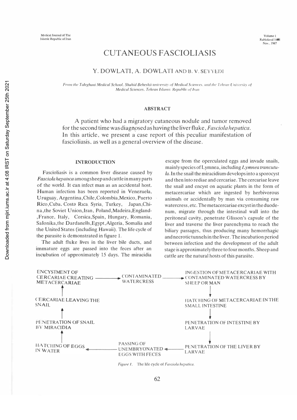 Cutaneous Fascioliasis