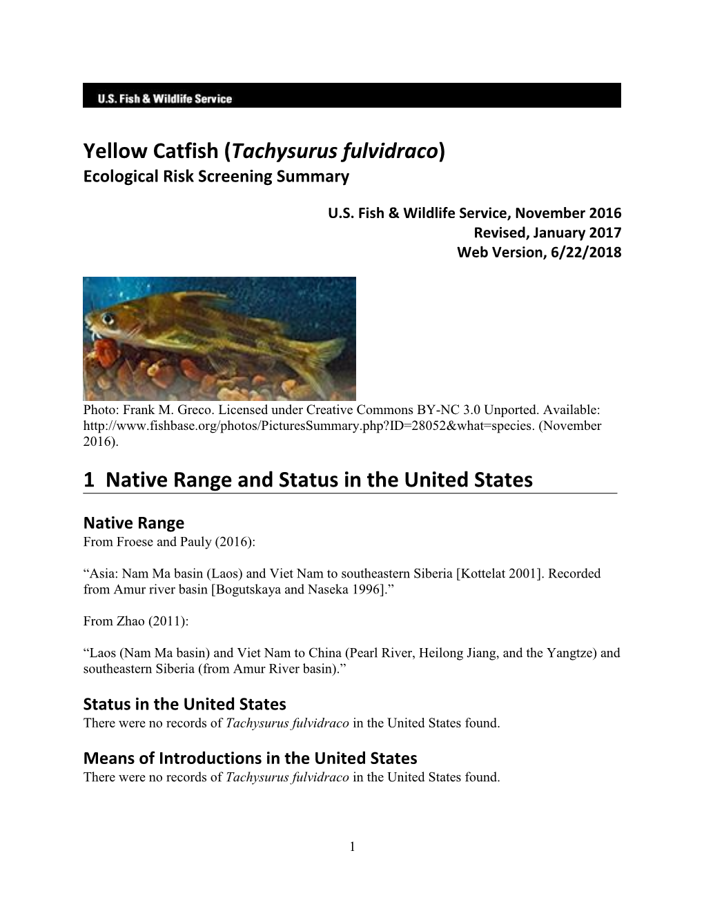 Tachysurus Fulvidraco) Ecological Risk Screening Summary