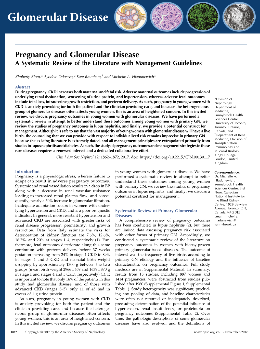 Pregnancy and Glomerular Disease a Systematic Review of the Literature with Management Guidelines