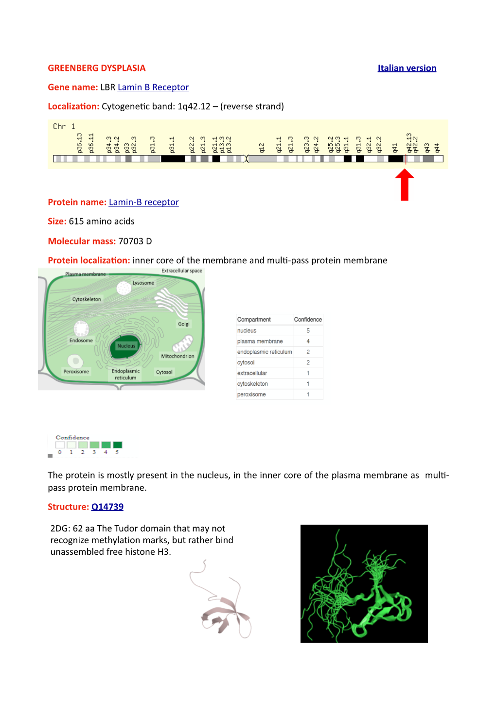 GREENBERG DYSPLASIA Italian Version Gene Name: LBR Lamin B Receptor Localiza On