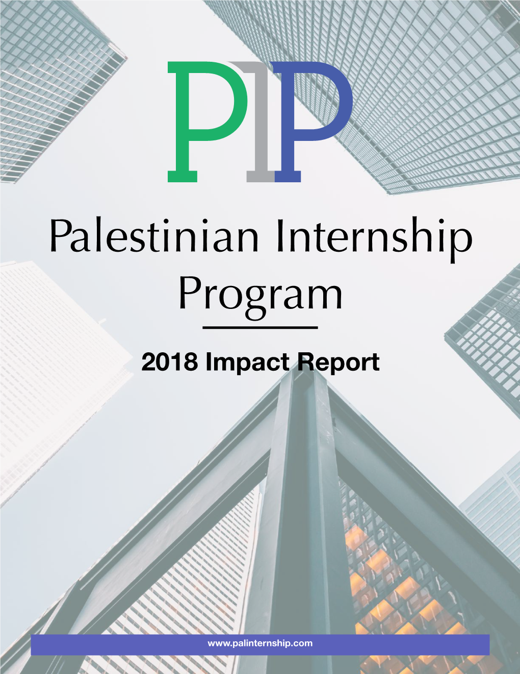 Palestinian Internship Program