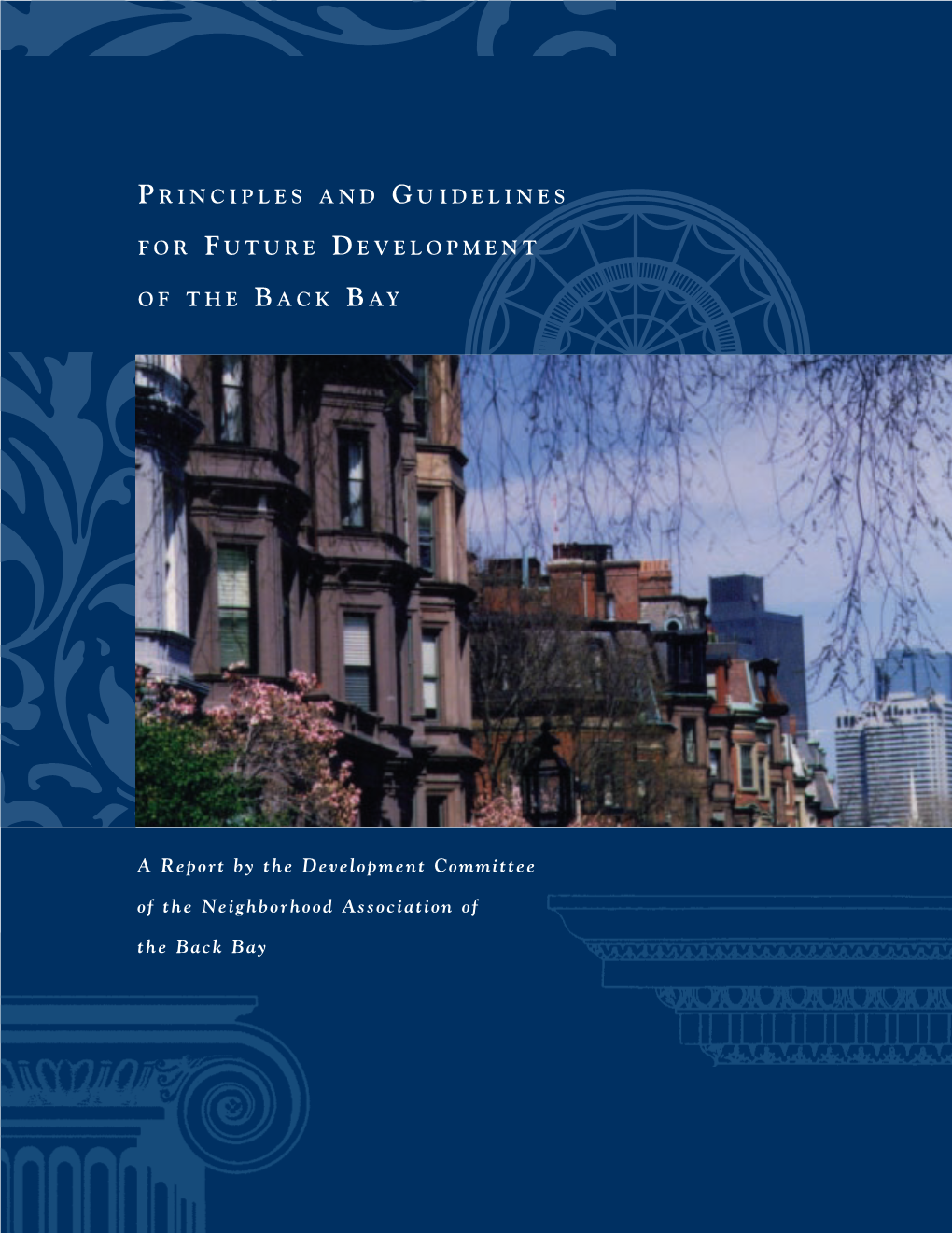 Principles and Guidelines for Future Development of The