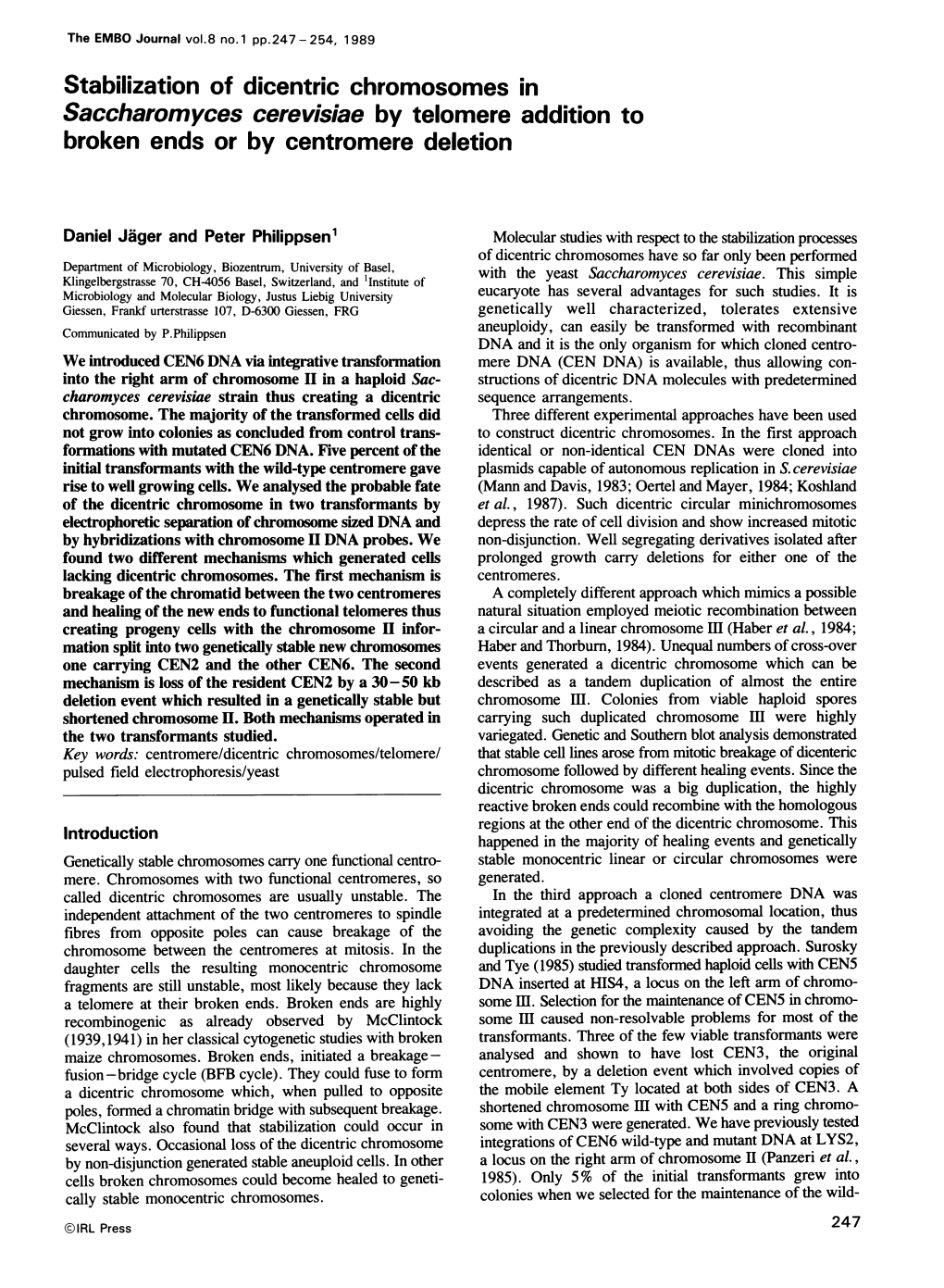 Stabilization of Dicentric Chromosomes in Saccharomyces Cerevisiae by Telomere Addition to Broken Ends Or by Centromere Deletion