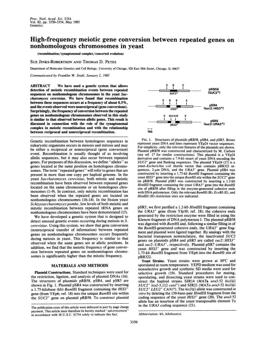 High-Frequency Meiotic Gene Conversion Between Repeated