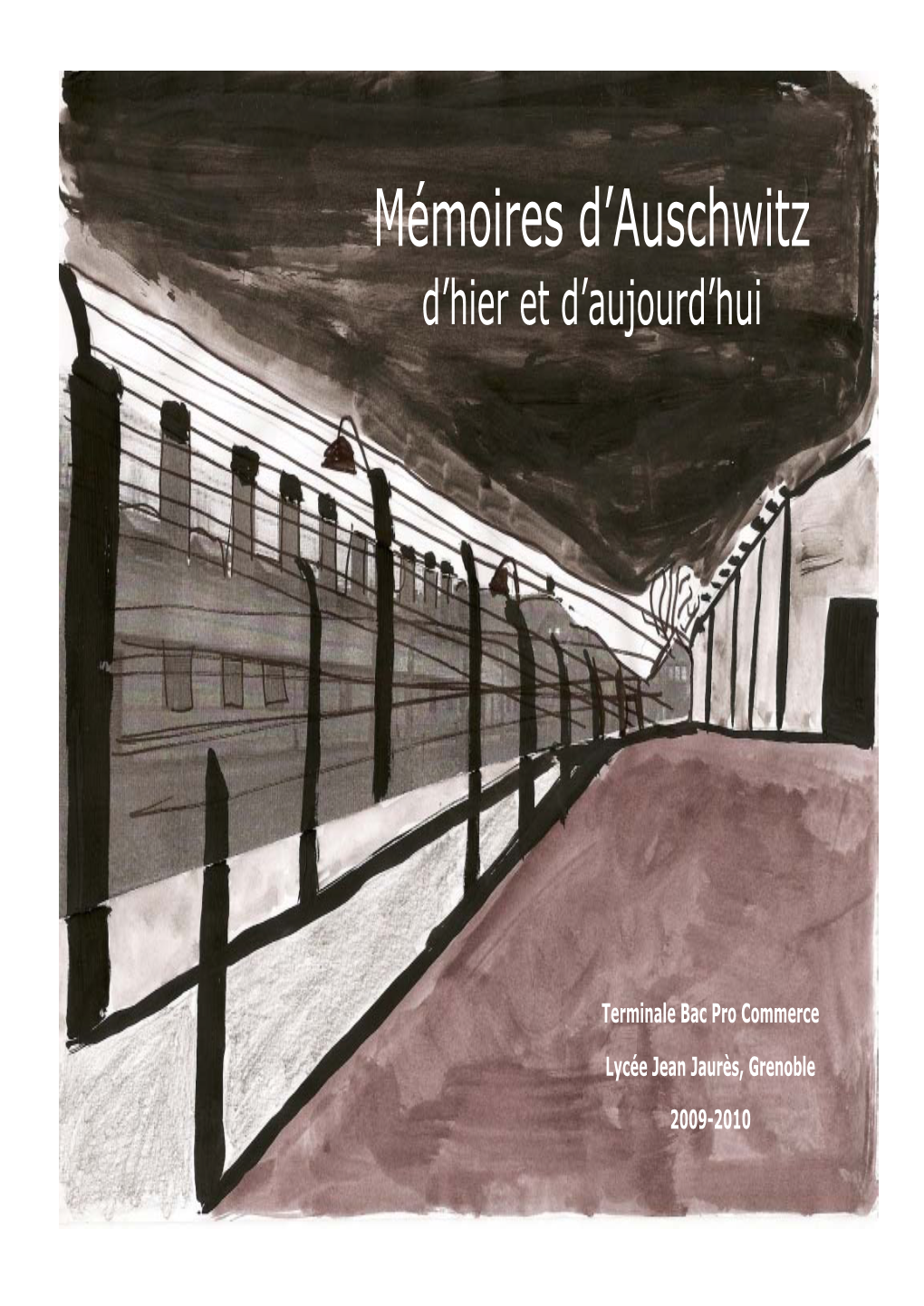 Mémoires D'auschwitz