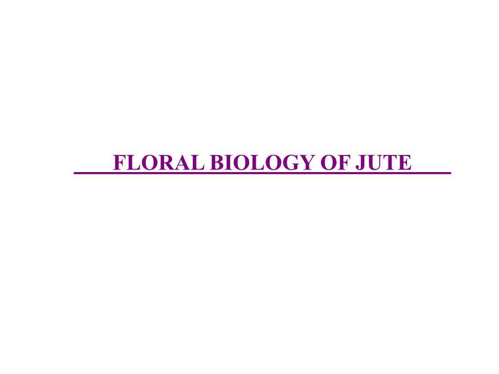 Floral Biology of Jute Classification