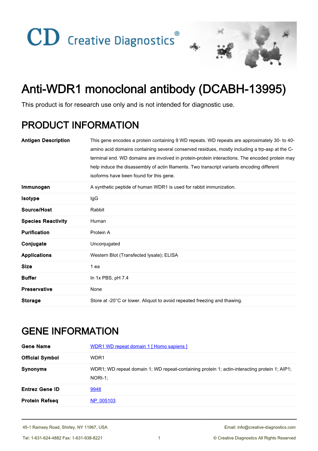 Anti-WDR1 Monoclonal Antibody (DCABH-13995) This Product Is for Research Use Only and Is Not Intended for Diagnostic Use