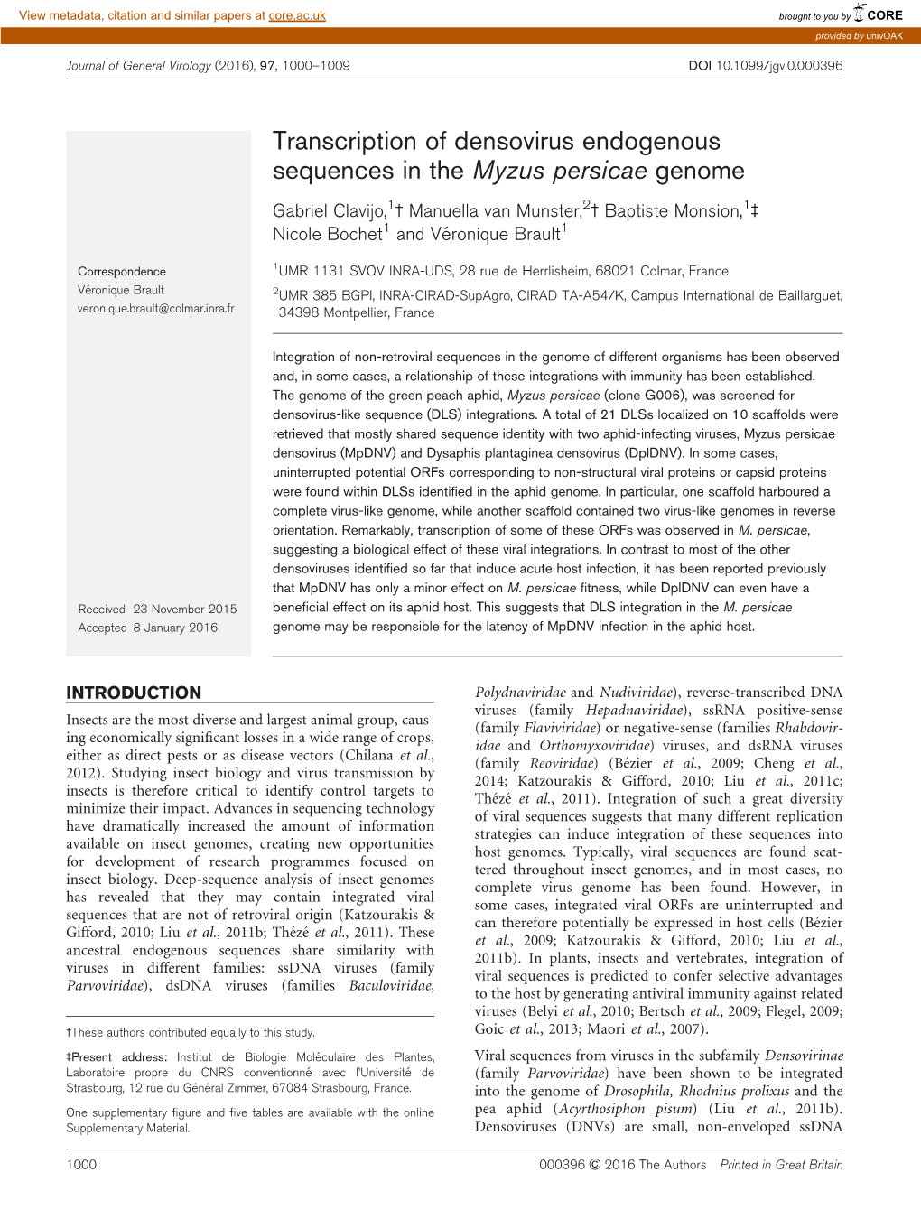 Transcription of Densovirus Endogenous Sequences in The