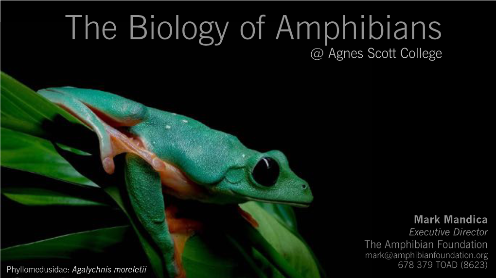 BOA1.2 Introduction of Amphibians.Key