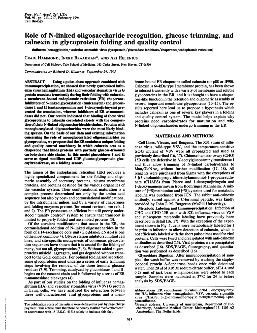 Role of N-Linked Oligosaccharide Recognition, Glucose Trimming, And