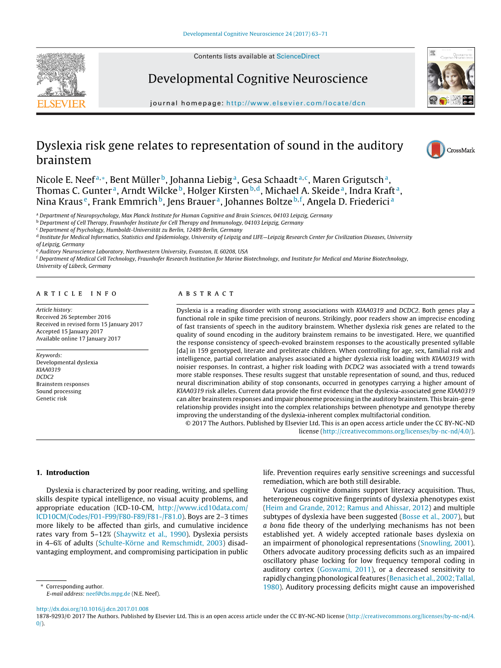 Dyslexia Risk Gene Relates to Representation of Sound in the Auditory Brainstem