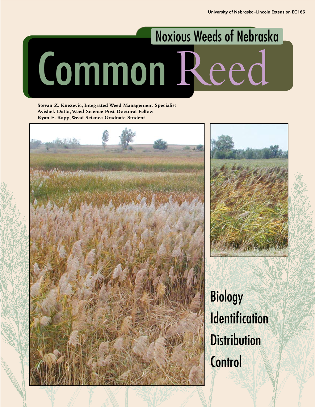 Noxious Weeds of Nebraska Biology Identification Distribution Control