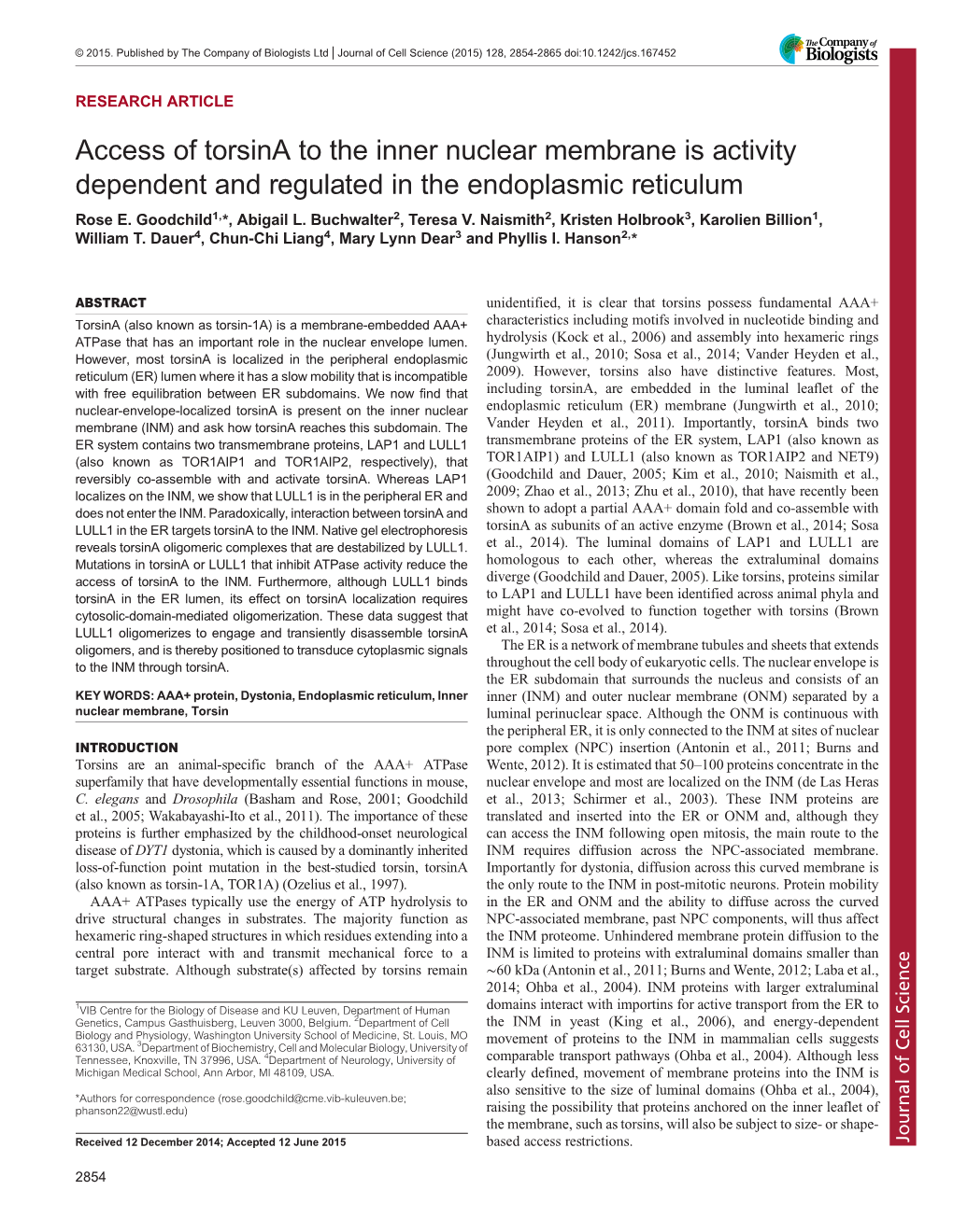 Access of Torsina to the Inner Nuclear Membrane Is Activity Dependent and Regulated in the Endoplasmic Reticulum Rose E