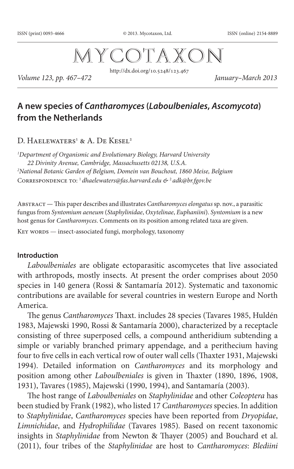 A New Species of &lt;I&gt;Cantharomyces&lt;/I&gt; (&lt;I