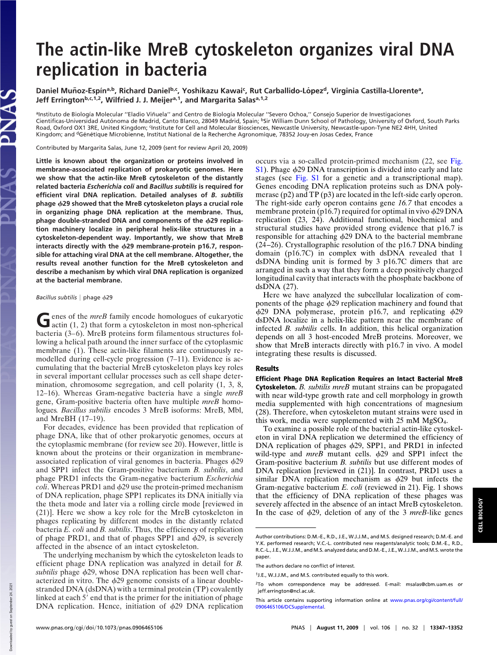 The Actin-Like Mreb Cytoskeleton Organizes Viral DNA Replication in Bacteria