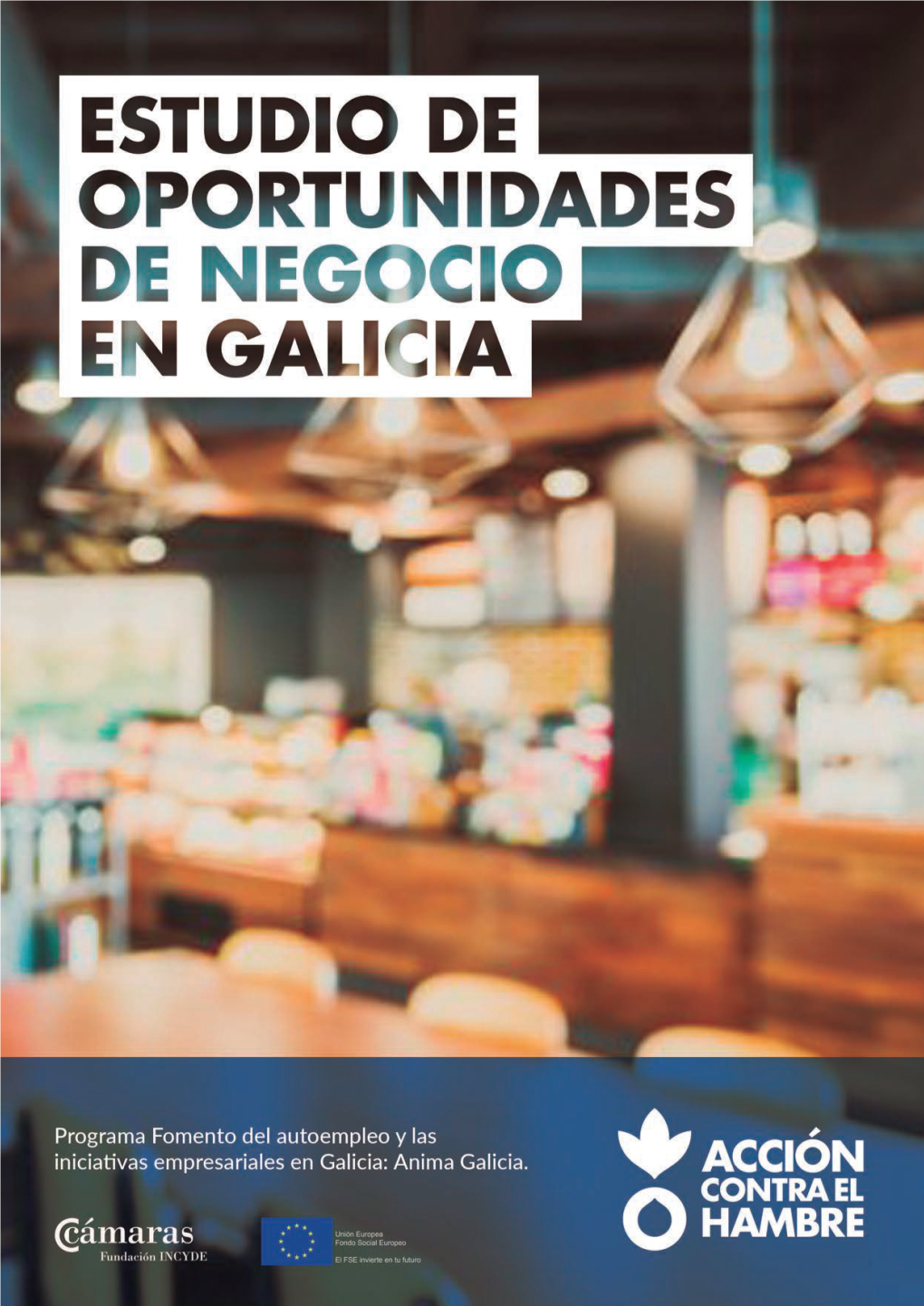 Estudio De Oportunidades De Negocio En Galicia 1Objetivos Objetivos 9