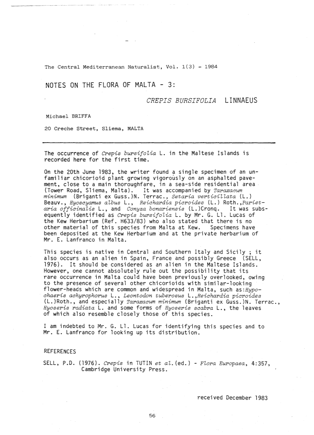 Notes on the Flora of Malta - 3: Crepis Bursifolia Linnaeus