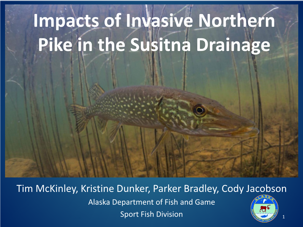 Impacts of Invasive Northern Pike in the Susitna Drainage