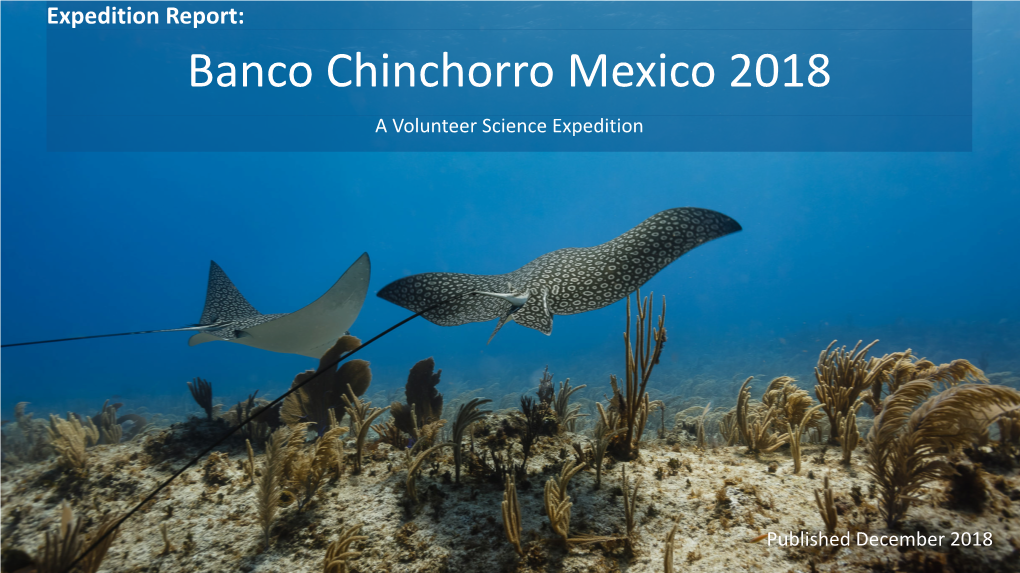 Banco Chinchorro Mexico 2018 a Volunteer Science Expedition