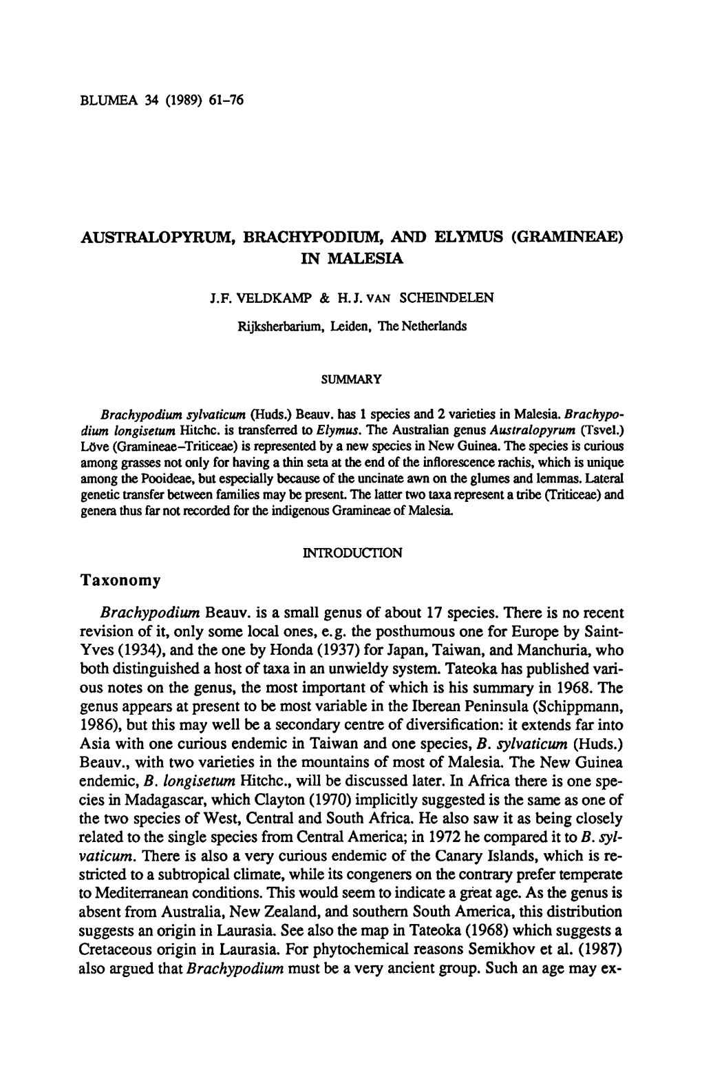 Brachypodium, Taxonomy It, Only The