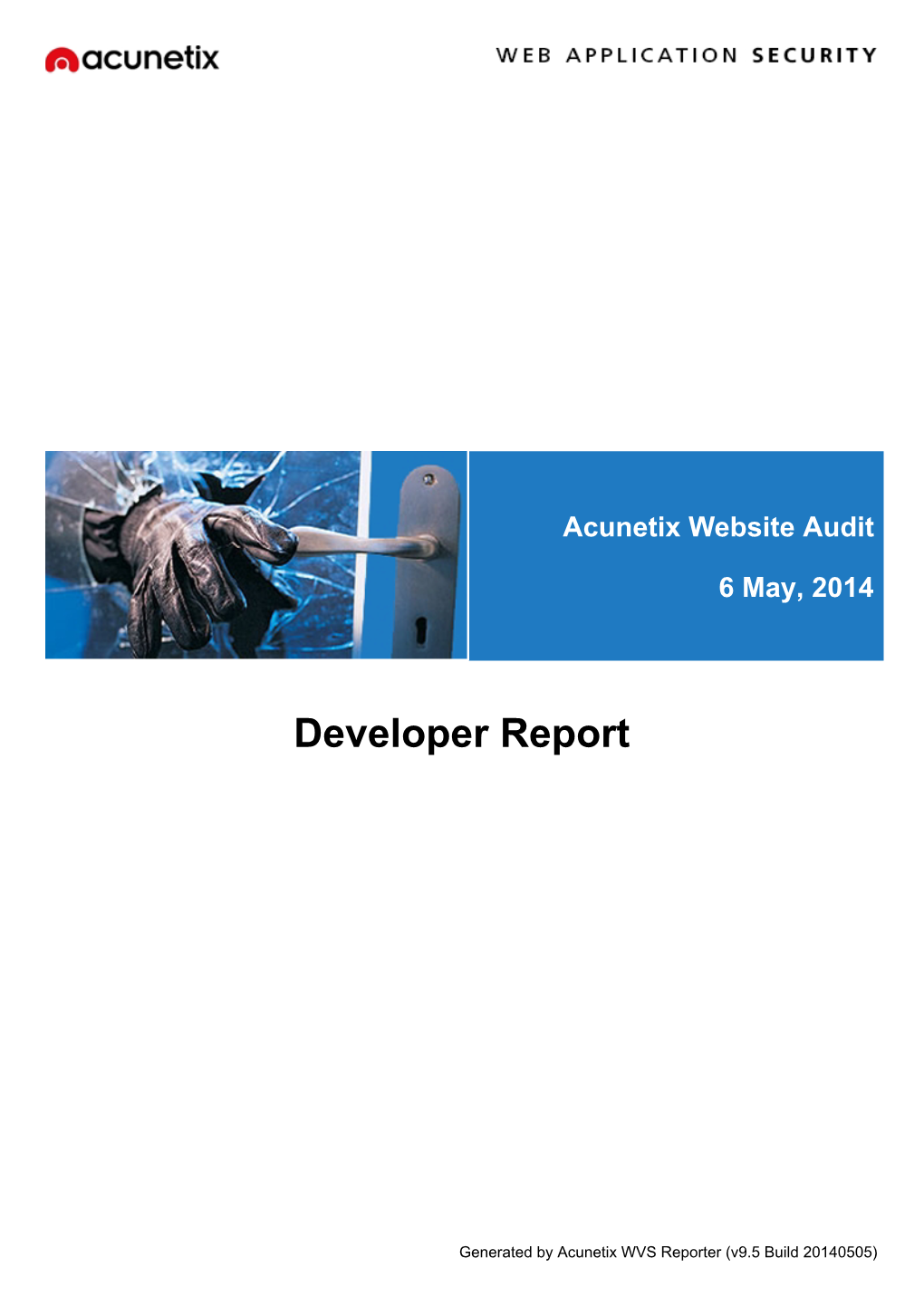 Developer Report