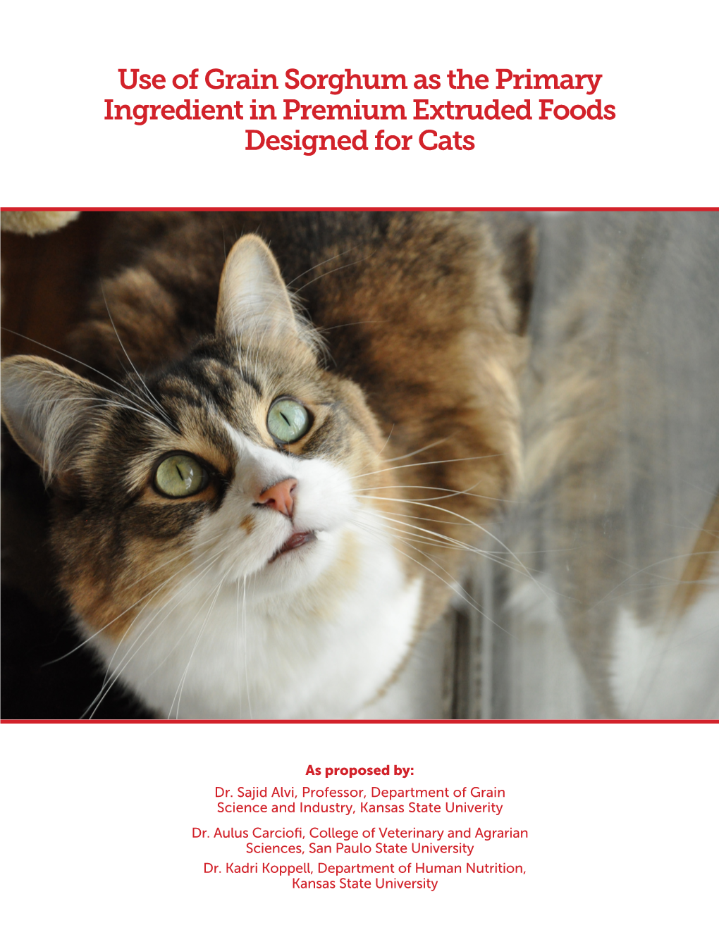 Use of Grain Sorghum As the Primary Ingredient in Premium Extruded Foods Designed for Cats