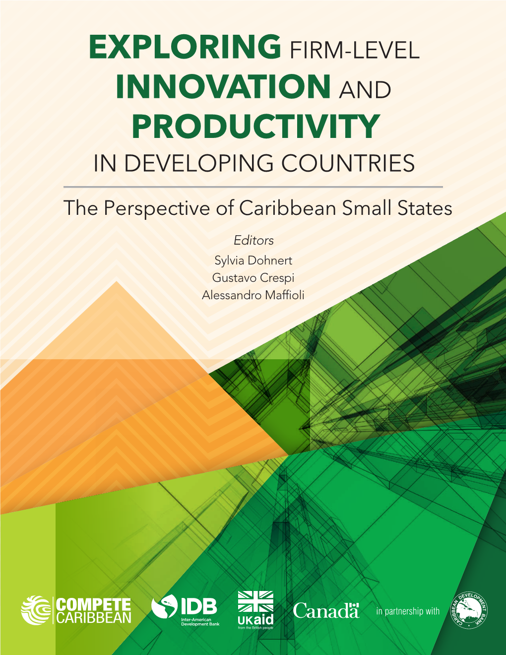 Exploring Firm-Level Innovation and Productivity in Developing Countries