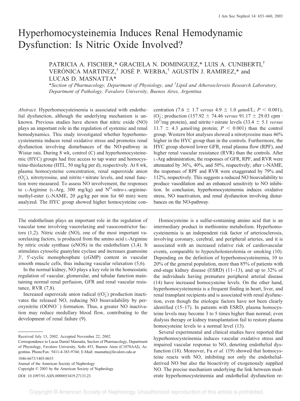 Hyperhomocysteinemia Induces Renal Hemodynamic Dysfunction: Is Nitric Oxide Involved?