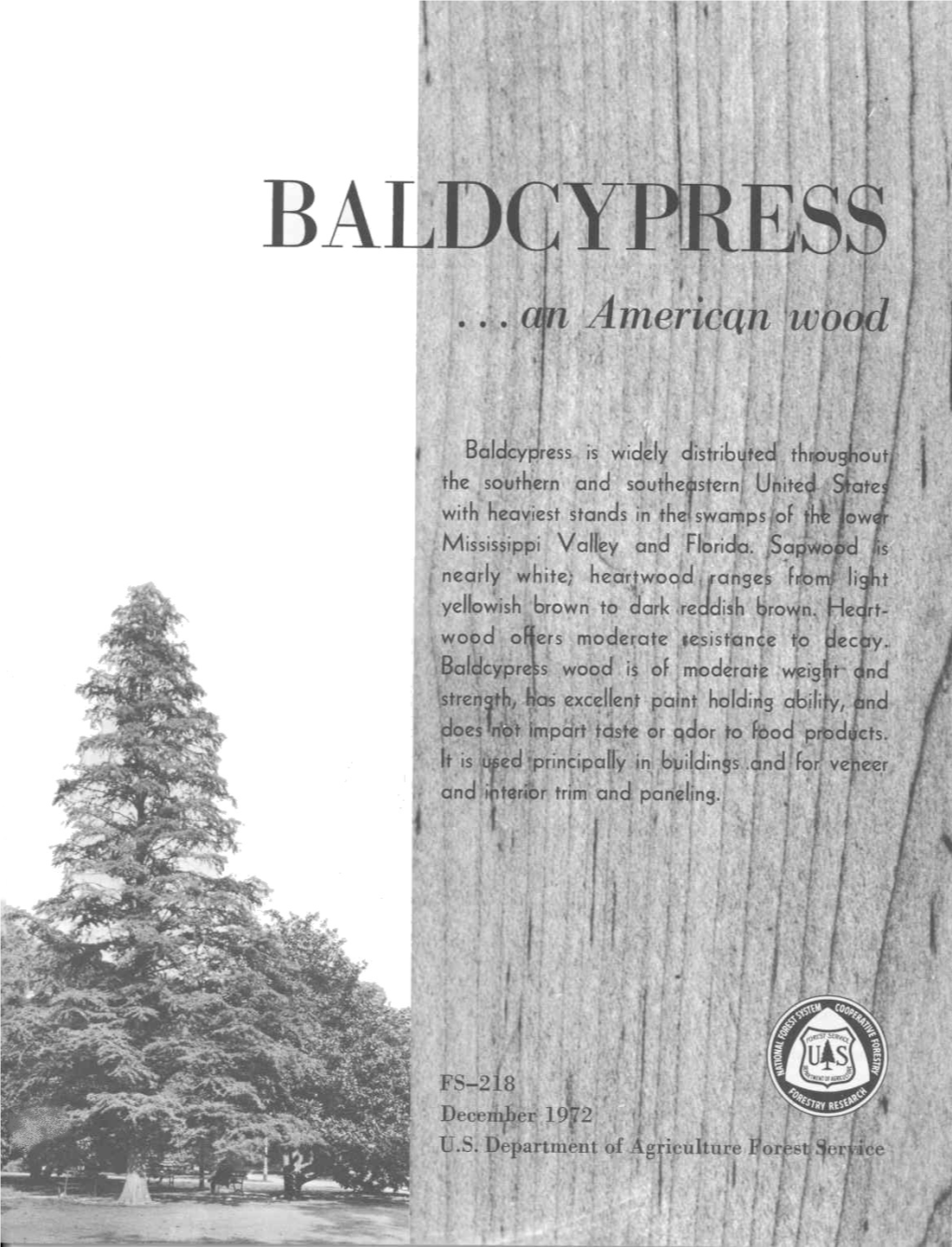 Baldcypress (Taxodium Distichum)