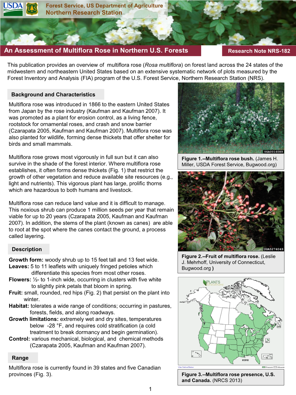 An Assessment of Multiflora Rose in Northern U.S. Forests Research Note NRS-182