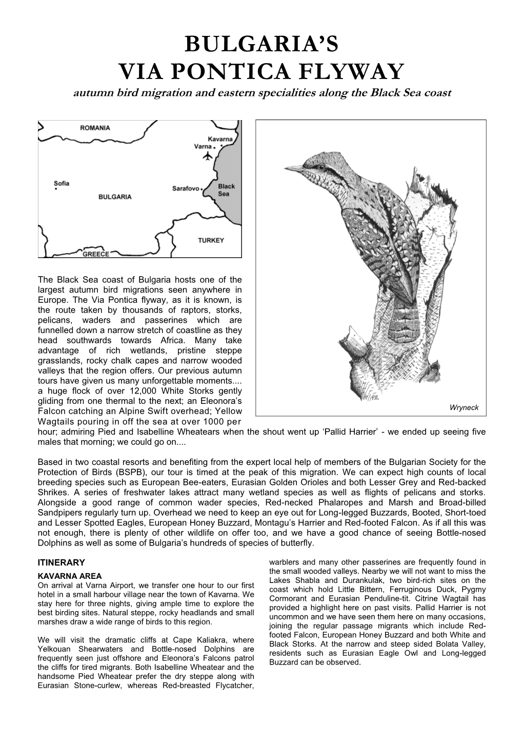 Bulgaria's Via Pontica Flyway