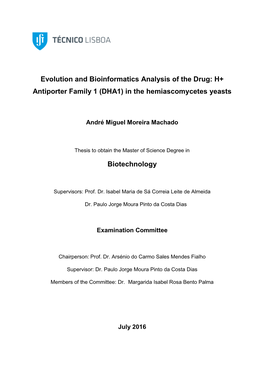 In the Hemiascomycetes Yeasts Biotechnology