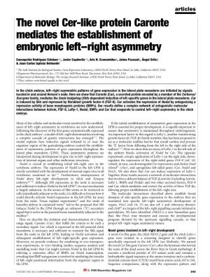The Novel Cer-Like Protein Caronte Mediates the Establishment of Embryonic Left±Right Asymmetry
