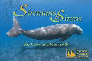 Sirenians and Sirens