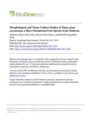 Morphological and Tissue Culture Studies of Platycerium Coronarium
