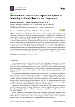 Evolution of Escherichia Coli Expression System in Producing Antibody Recombinant Fragments