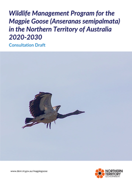Wildlife Management Program for the Magpie Goose (Anseranas Semipalmata) in the Northern Territory of Australia 2020-2030 Consultation Draft