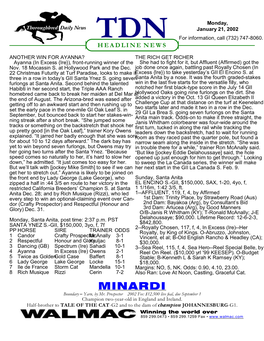 MINARDI Boundary S Yarn, by Mr