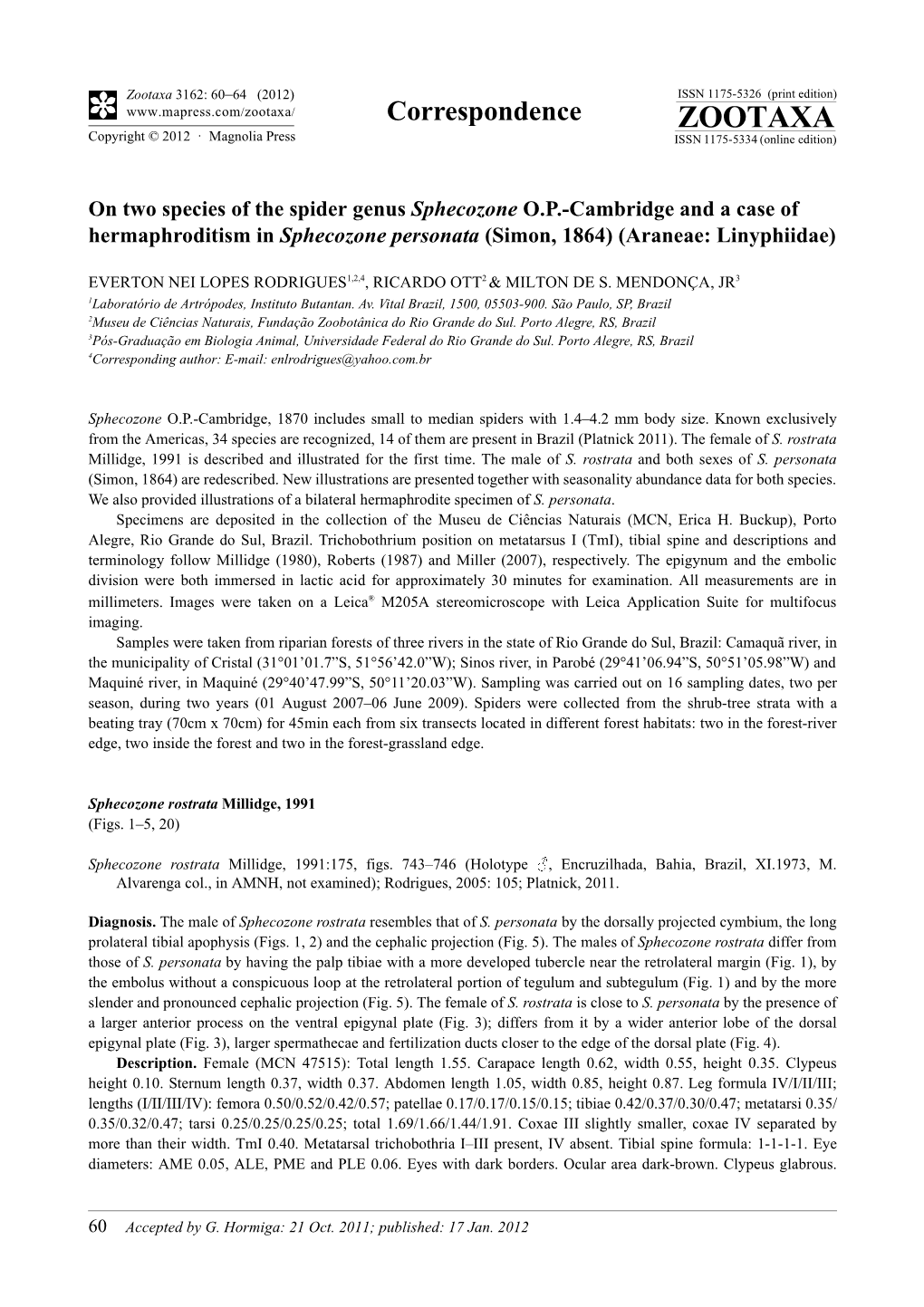 On Two Species of the Spider Genus Sphecozone O.P.-Cambridge and a Case of Hermaphroditism in Sphecozone Personata (Simon, 1864) (Araneae: Linyphiidae)