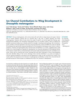 Ion Channel Contributions to Wing Development in Drosophila Melanogaster
