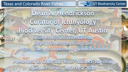 American Eel and Other Fishes of the Colorado